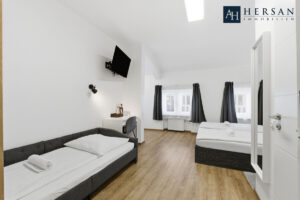 HI-919-IMMOBILIE AACHEN-19