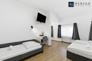 HI-919-IMMOBILIE AACHEN-22